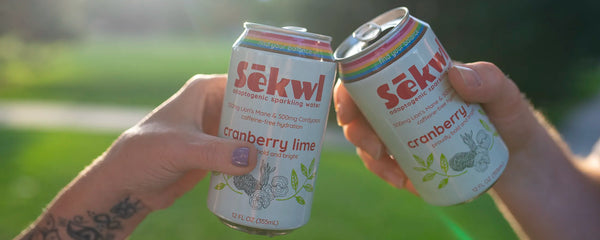 How Cranberry Lime with Cordyceps & Lion’s Mane Supports Energy, Focus, and Holiday Rituals