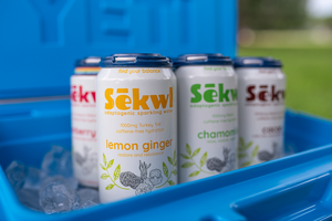 One Year In: What We’ve Learned Building Sēkwl