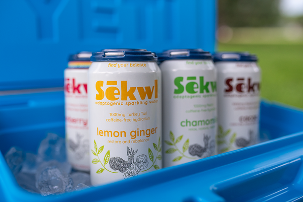 One Year In: What We’ve Learned Building Sēkwl